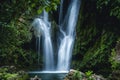 Streaming cascade water in green forest